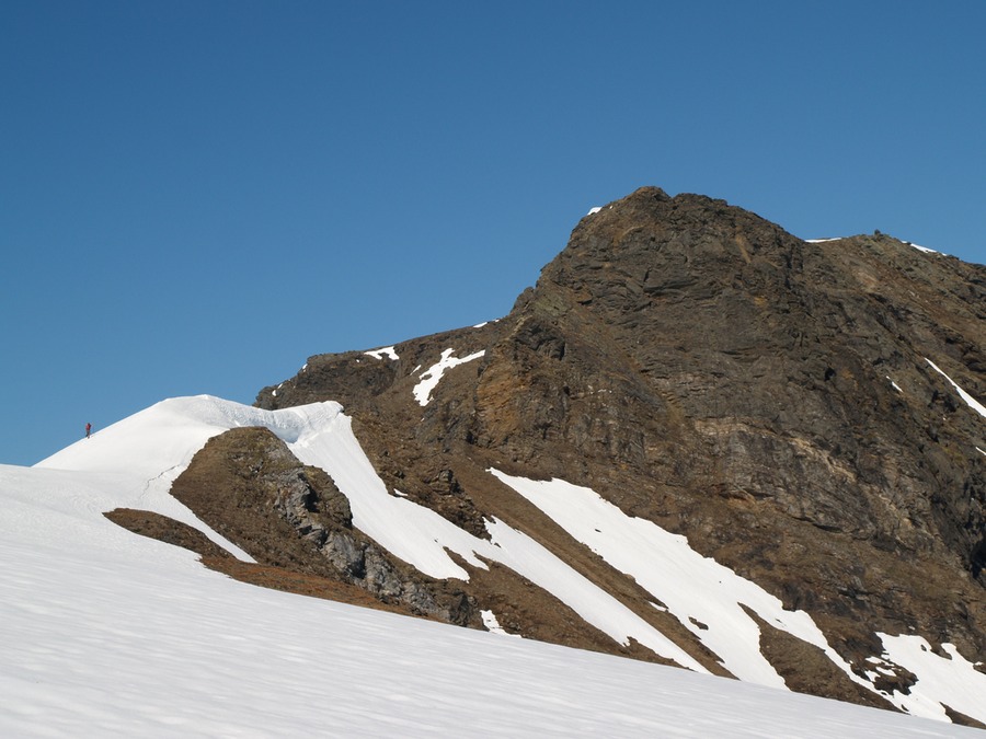 P5298720